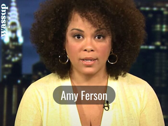 Amy Ferson (T. J. Holmes' Ex Wife) Age, Ethnicity, Children, Wiki, Bio